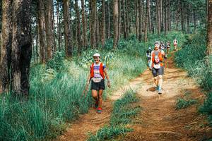 BIB: 
                            <button type="button" onclick="openModal(25738408)" class="btn btn-primary btn-sm float-right btn-popup" data-toggle="modal" data-target=".modal-high-quality">
                        <i class="fas fa-shopping-cart"></i> Add to Cart
                    </button>
                                            <button type="button" onclick="isThisMe(25738408, true)" class="btn btn-success btn-sm float-right btn-popup btn-isme hidden" data-toggle="tooltip" data-placement="bottom" title="นี่คือรูปของคุณใช่ไหม คลิกที่นี่เพื่อเอาเข้าอัลบั้ม">
                        <i class="fas fa-plus"></i> Add to album
                    </button>
                    <button type="button" onclick="isThisMe(25738408, false)" class="btn btn-warning btn-sm float-right btn-popup btn-isnotme hidden">
                        <i class="fas fa-ban"></i> Remove from album
                    </button>